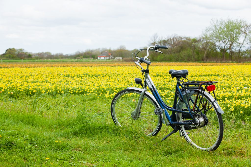 Kupuj używane rowery holenderskie